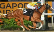 Machfive<br>Photo by Singapore Turf Club